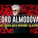 ¿Cuál es la relación de Pedro Almodóvar con el cine de autor?